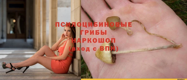 ECSTASY Алексеевка
