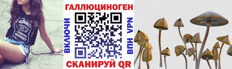 Псилоцибиновые грибы MAGIC MUSHROOMS  Волжский 